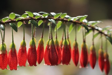 广州荔湾区9私人快速借钱网，轻松解决资金难题