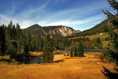 广州荔湾区9民间私贷攻略：揭秘低成本借贷的秘密