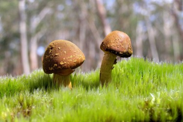 广州荔湾区9私人老板放款：轻松融资的秘密通道